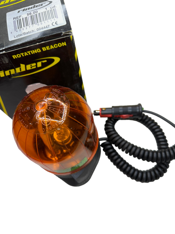 Rinder, 5600