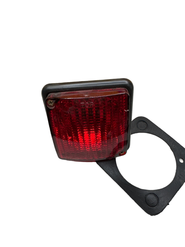Rinder, 81000