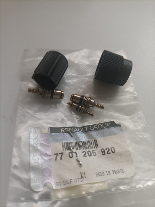 7701205920, COLECC.VALVULAS, Renault